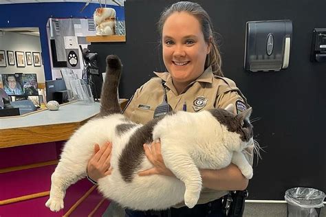 According to Adoption and Intake Coordinator Savannah Hughes, the cat weighed in at 42 pounds when his original owners brought him in. “He lost a little bit of weight with the diet that we put...